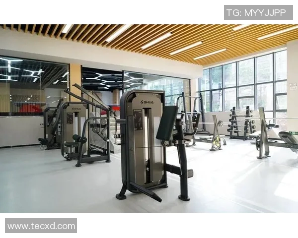 专业体育器材生产厂家助力运动梦想提供高品质定制服务与创新解决方案